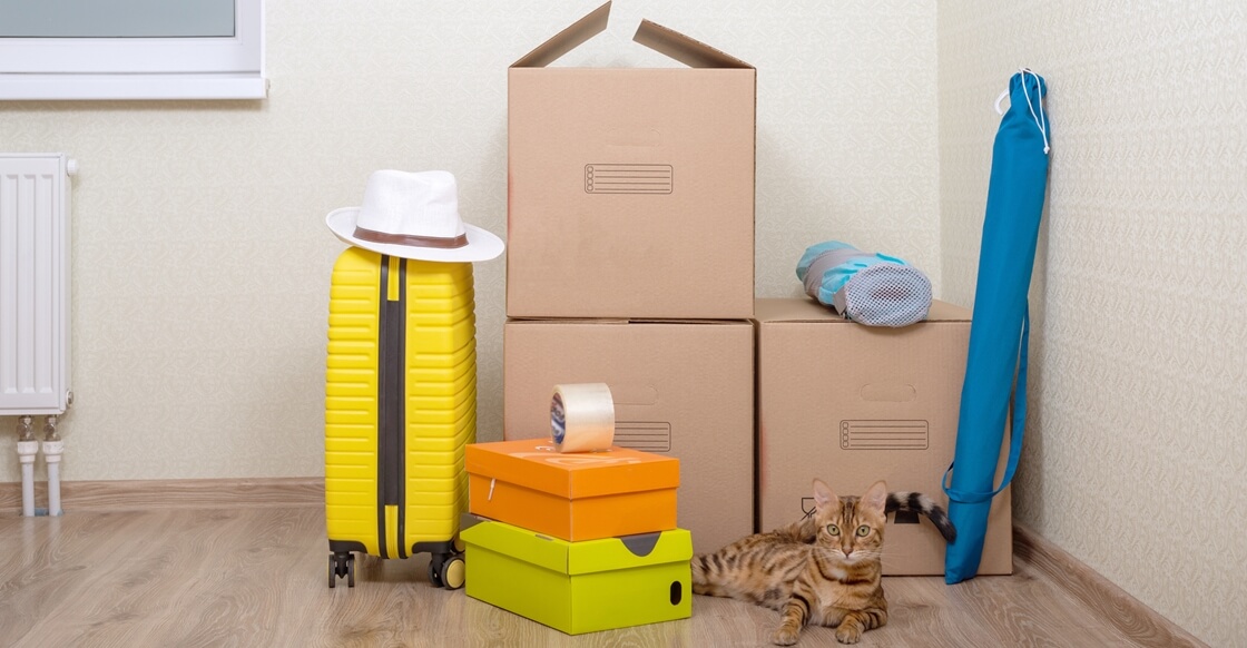 Seasonal items for self storage